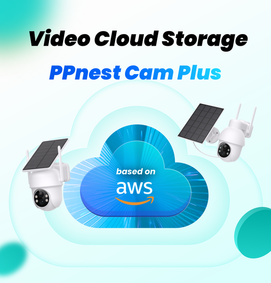 PPnest Video Cloud Storage Service